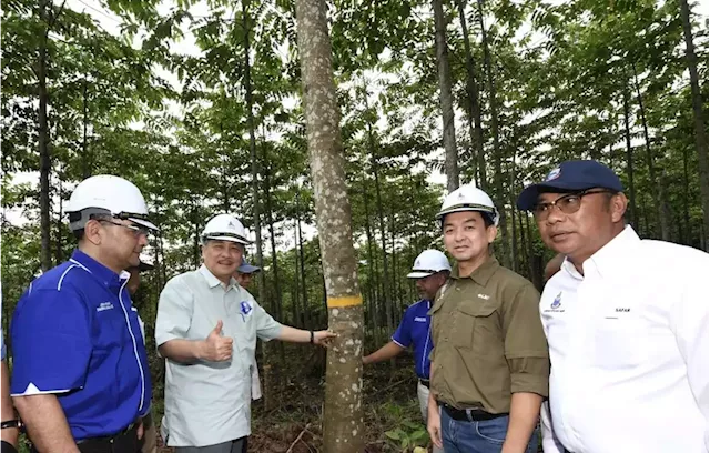 Sabah CM urges timber industry players in state to benefit from economic value chain to raise productivity