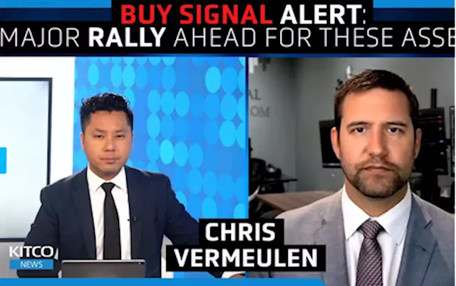 Growth stocks will make a quick comeback before crashing again - Chris Vermeuelen