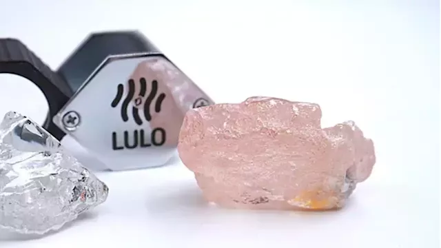 Largest pink diamond in 300 years discovered in Angola, company says | CBC News