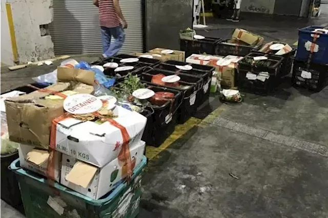 Another company fined $5,000 for illegally importing vegetables