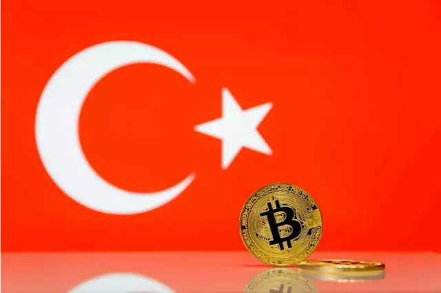 Turkish Finance Minister meets virtually with Binance founder to discuss crypto