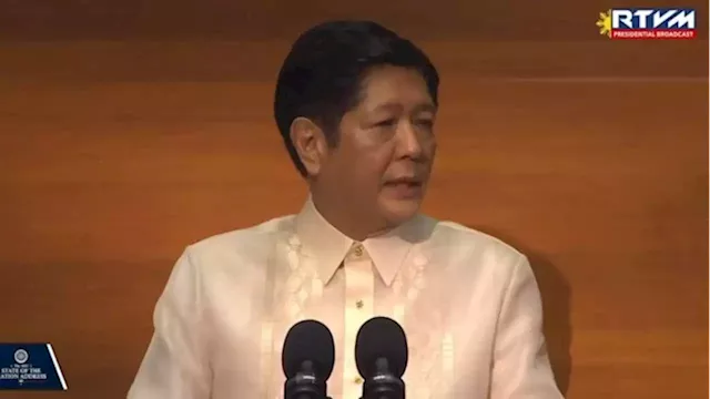 Bongbong Marcos vetoes bill expanding Davao Light and Power Company Inc. franchise area