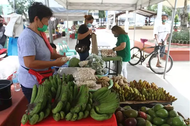 Organic Farmers Market