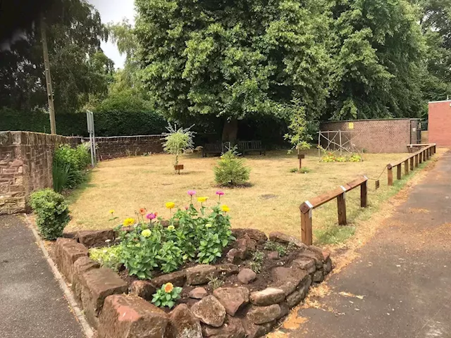 Tree planted in memory of Market Drayton schoolboy