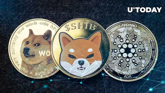 Cardano, Dogecoin, Shiba Inu Post Gains Amid Inflows into Crypto Market