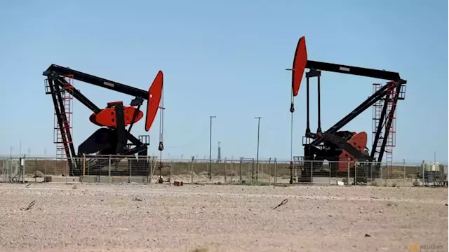 Oil steady as market weighs tight supply against recession fears