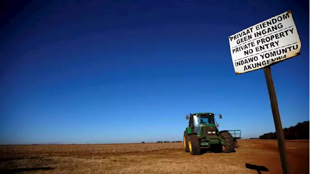 The success of colonial and apartheid farming in South Africa a myth: Angelo Fick - SABC News - Breaking news, special reports, world, business, sport coverage of all South African current events. Africa's news leader.