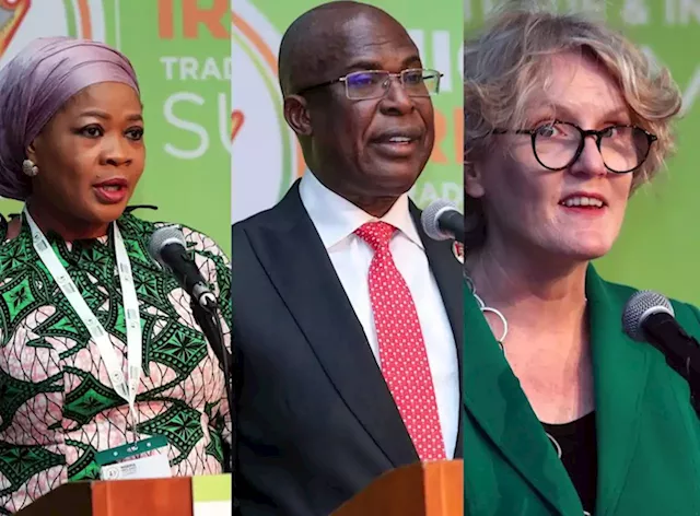 Nigerian-Ireland Maiden Trade, Investment Summit Was Impactful, Rewarding, Say Organisers – THISDAYLIVE