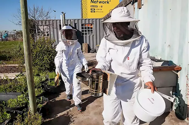 GROUNDUP: Gugulethu apiarist cultivating region’s sweetest business