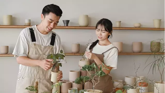 How the couple behind Soilboy grew their plant and ceramic business from side gig to full-time job