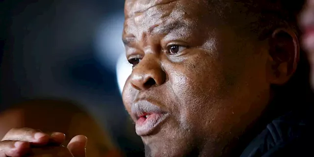 ANC POLICY CONFERENCE: Rise in terrorism and social unrest necessitates more investment in SA’s security cluster, says David Mahlobo