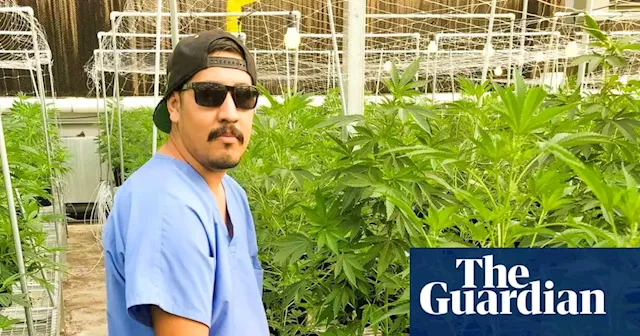 Booming US cannabis industry seen as fertile ground for union expansion