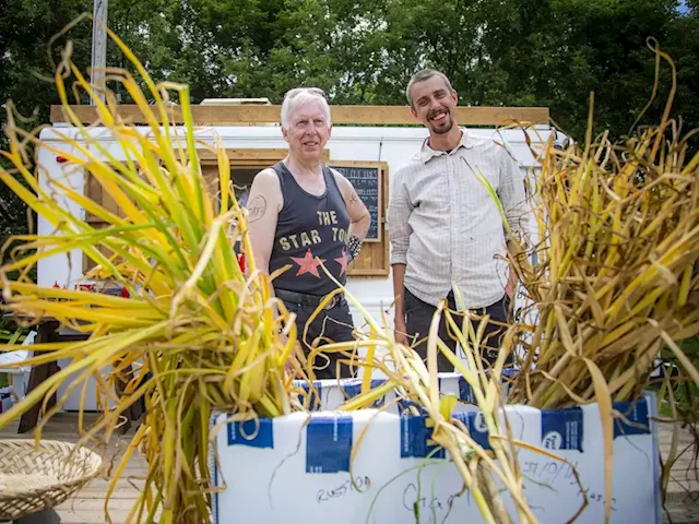 Field to fork: Partners launch open-air market for local food in Carp