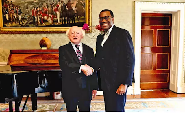 Invest More in Africa Adesina Urges Keen Irish Business Community