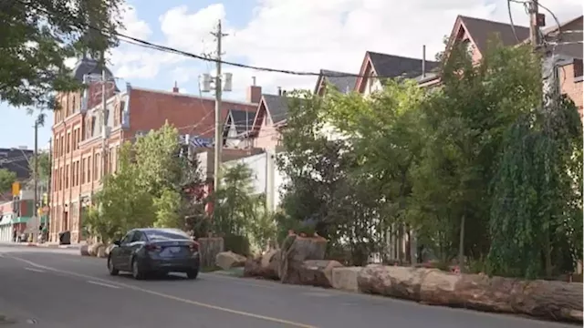 Cabbagetown turned a parking space into parkette to support local business | CBC News