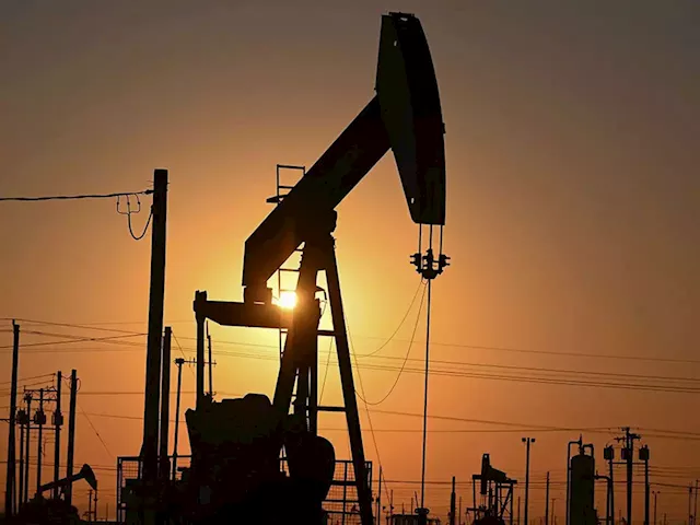 Canadian oil and gas companies slash capital spending by more than half, BoC survey finds