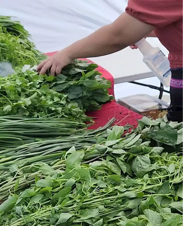 Weekend Market at Centennial Park continues to serve as opportunity for vendors, visitors alike