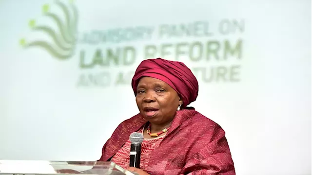 Minister Dlamini-Zuma, Premier Zikalala to address local government indaba in Durban - SABC News - Breaking news, special reports, world, business, sport coverage of all South African current events. Africa's news leader.