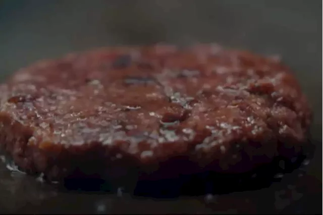 Cannibalism? Swedish company creates fake human meat burger | The Citizen