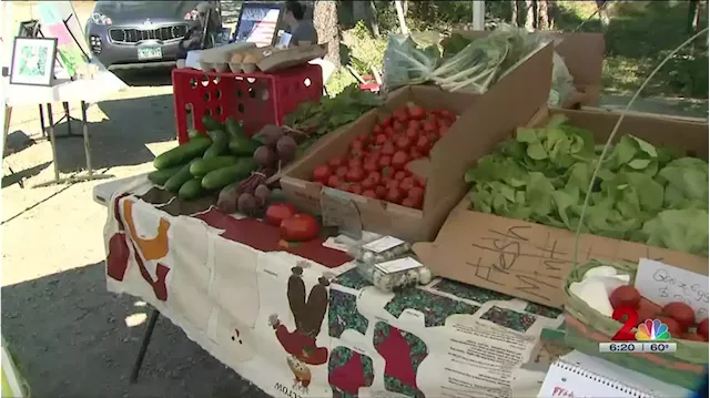 VFW Post 9785 hosts weekly market in Eagle River