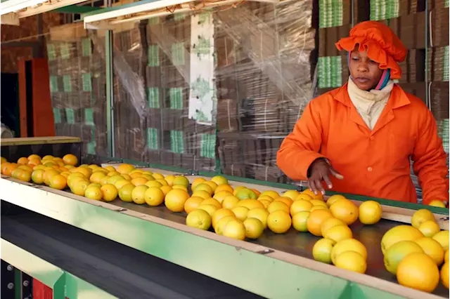 Load shedding weighs on citrus industry as it moves into peak harvest season | Businessinsider