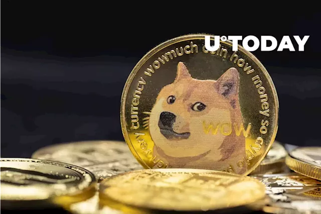 Yet Another Elon Musk-Owned Company Starts Accepting Dogecoin