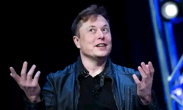 'Elon Musk had twins with company exec last year'