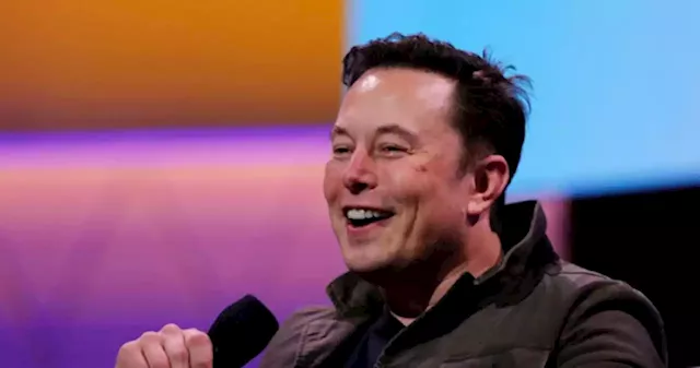 Elon Musk had twins last year with one of his top executives: Business Insider