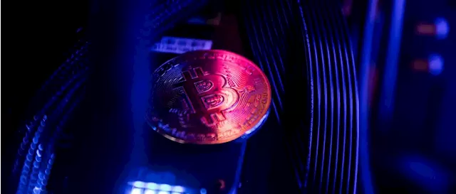 Business Maverick: Bitcoin Is on Course for Its Biggest Weekly Gain Since March