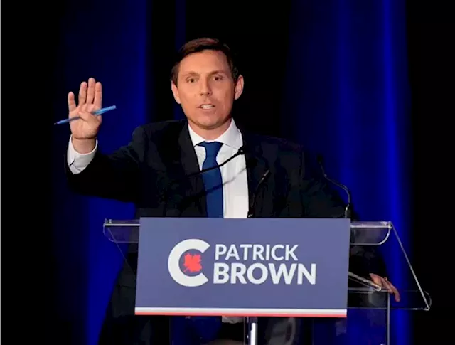 Whistleblower says Patrick Brown arranged her payment by third-party company | National Newswatch