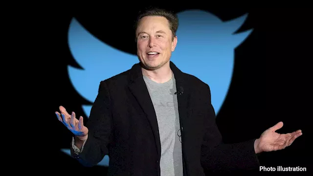 Twitter vs. Musk -- who is lying in battle over social media company's future?