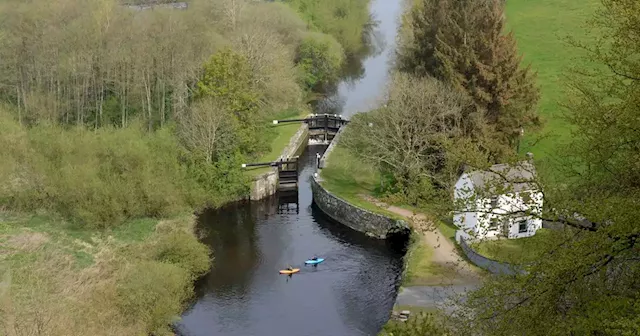 Rivers and lakes face pollution crisis caused by Ireland’s dairy industry