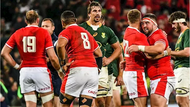 Wales nail biting victory in Bloemfontein - SABC News - Breaking news, special reports, world, business, sport coverage of all South African current events. Africa's news leader.