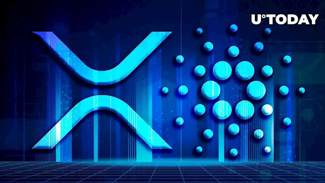 XRP & Cardano (ADA) Need This To Hold On to Conquered Places in Market Cap Top