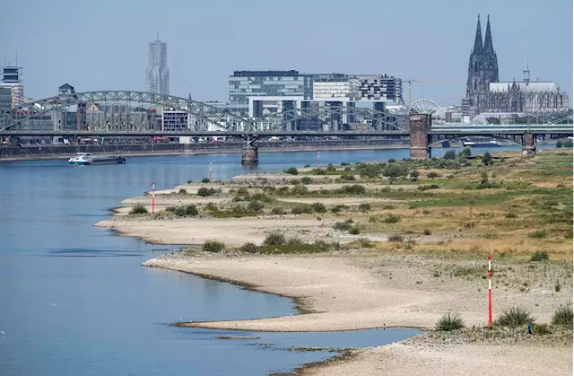 Germany's Rhine River Could Reach Critically Low Point, Slowing Industry