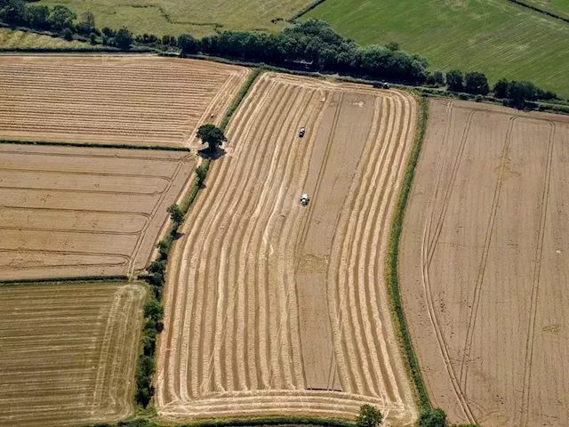 Worsening conditions will force people out of farming, industry warns