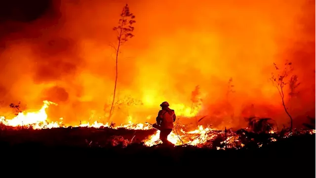 France battles 'monster' wildfire as heatwaves scorch Europe - SABC News - Breaking news, special reports, world, business, sport coverage of all South African current events. Africa's news leader.