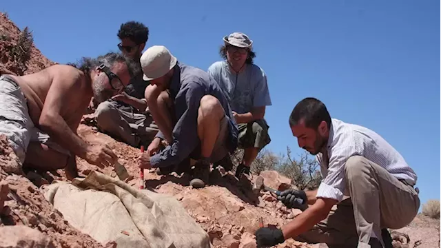 Remains of small armor-plated dinosaur unearthed in Argentina - SABC News - Breaking news, special reports, world, business, sport coverage of all South African current events. Africa's news leader.