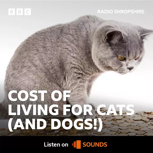 BBC Radio Shropshire - Jim Hawkins, Mark Elliott sits in and looks at the holiday home trade! Renting out your property could be big business. (15/08/2022), Do we risk losing kennels and catteries?