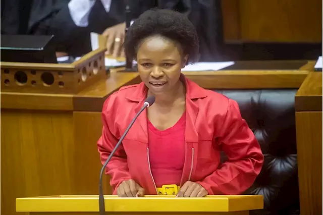 Eastern Cape business manager to pursue private prosecution against EFF, MP over racism claims | News24