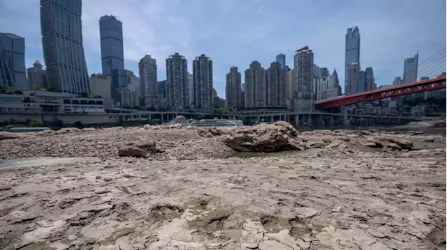 Yangtze shrinks as China's drought disrupts industry