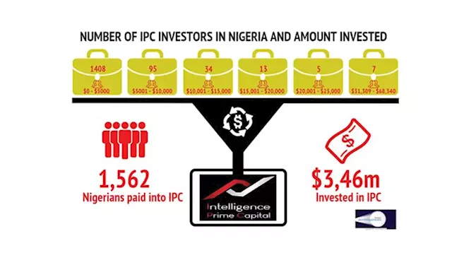 How transnational investment firm swindled Nigerians, others of over $3m (2) - Punch Newspapers