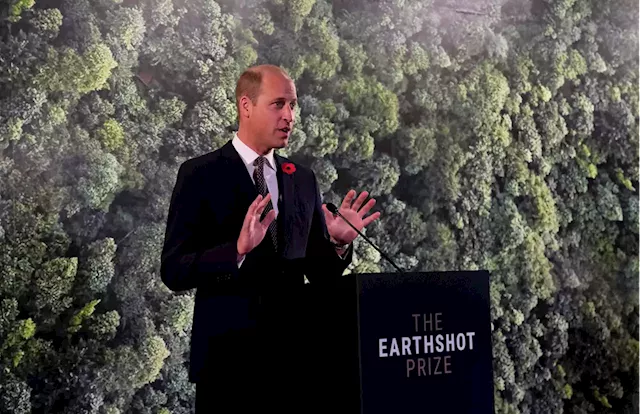 Prince William Charity Invests in Bank, Companies Tied to Harmful Environmental Practices