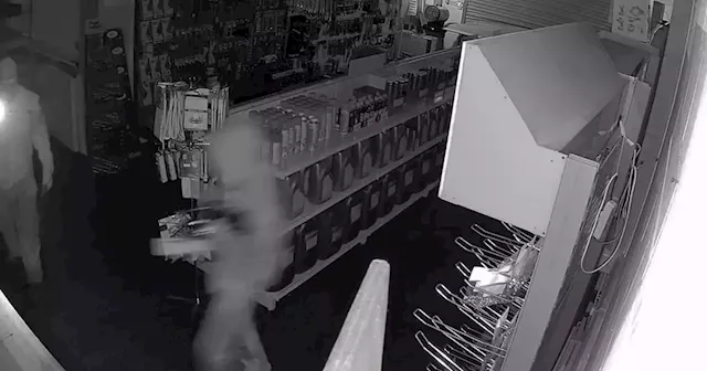 CCTV captures thieves stealing equipment worth thousands from business