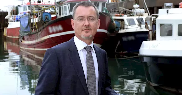 Fisheries industry chief to take over as new head of Bord Bia