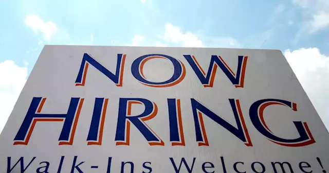 Job market still strong, but showing signs of decay