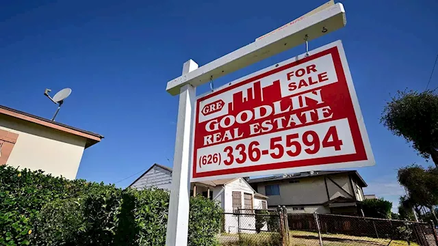 Housing market records sharpest decline in sales in almost two decades: report