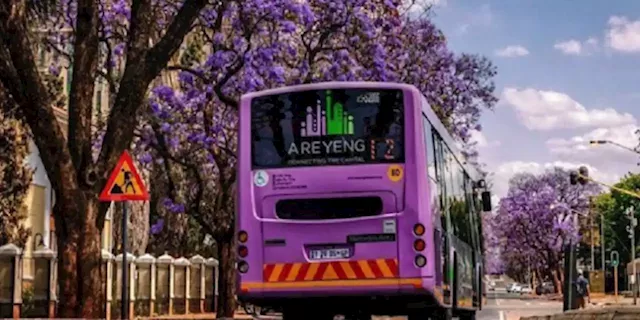 City of Tshwane halts bus services citing bus driver intimidation by striking SAMWU employees - SABC News - Breaking news, special reports, world, business, sport coverage of all South African current events. Africa's news leader.