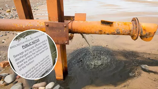 Huge increase in raw sewage dumped in UK waterways as govt accused of allowing companies to 'cut corners'