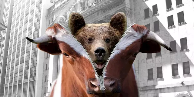 Here are 5 reasons that the bull run in stocks may be about to morph back into a bear market